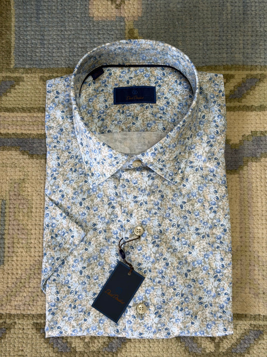David Donahue SS Buttondown - Sage/Multi